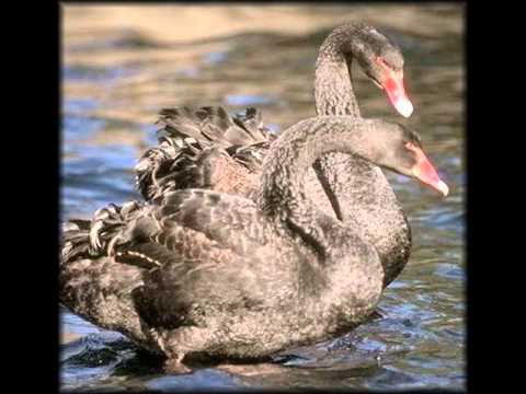 Olen su juures_0001.wmv