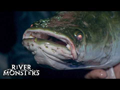 River Monsters Full Episode - Season 5, Episode 6 - Face Ripper