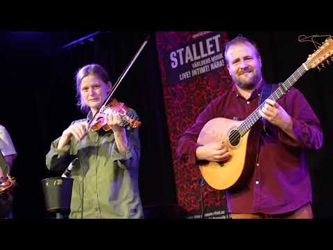 Tailcoat @Stallet Världens Musik