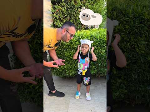 شوفوا شو بتعطينا الحيوانات !