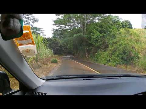 Road Trip to Chamarel: MORE THAN 50 TURNS