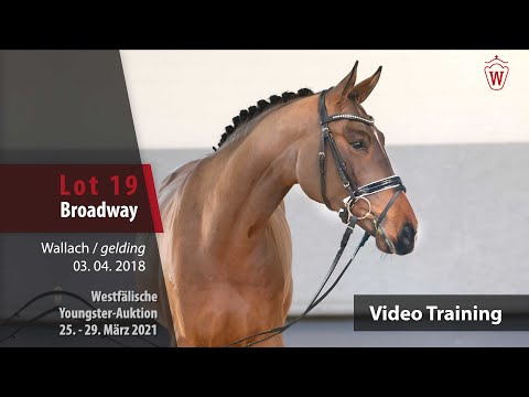 Westf. Youngster-Auktion 25.- 29. März 2021 Trainingsvideo Lot 19 Broadway v. Benicio-Dante Weltino