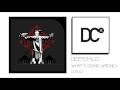Deepchild  - What's Going Wrong? (feat  Andy B)