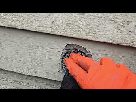 Checking on the Mice & Closing Up Their Access Points in Freehold, NJ