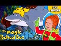 Takes A Dive Coral Reefs Sharks Underwater Habitats Full Episode The Magic School Bus