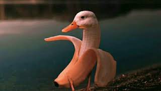 Download lagu Blukutuk ”Raimu Koyo Garpu” mp3