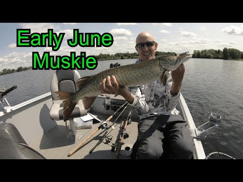 Early June Muskie Fishing - Weeds or Open Water?