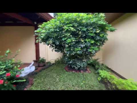 Imagen de Alquiler de Casas en Alajuela - Alajuela Alajuela - ALAJUELA