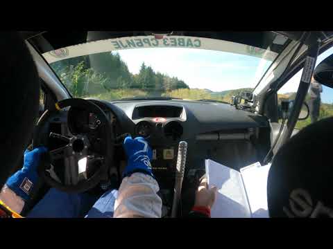 SS2 Silver - Lazar Milovanović/Dejan Golić (53. Serbia Rally 2020) C2 R2