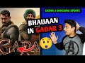 Gadar 3 Shocking Announcement | Will Salman Khan Cast In Gadar 3 | Salman Khan In Gadar 3 #gadar3