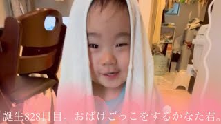 幼児（叶向くん）の成長記録3月30日-8月12日（生後803-935日目）お手伝いできた〜USJやアンパンマンミュージアムに行ってきた