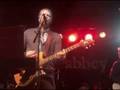 Camper Van Beethoven - Tania