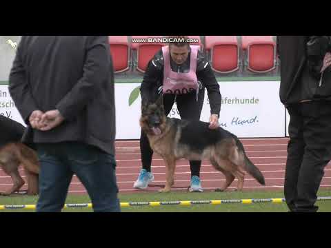 BSZS-2022 N-046 Usher aus der Brunnenstraße