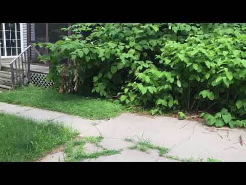 Charming 3 Bedroom Home Near West St. Paul!! property video