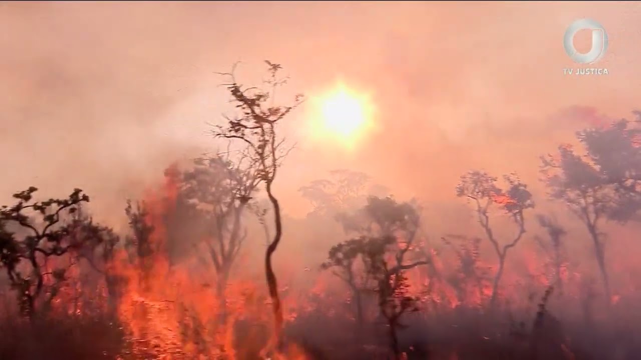 📺 JJ – Justiça Federal determina que União libere recursos para reforçar o combate a queimadas em RO