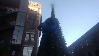 Inspiration to Hayling - Max Cooper Remix