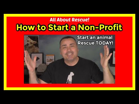 How to start an animal rescue. How to start a non profit animal rescue
