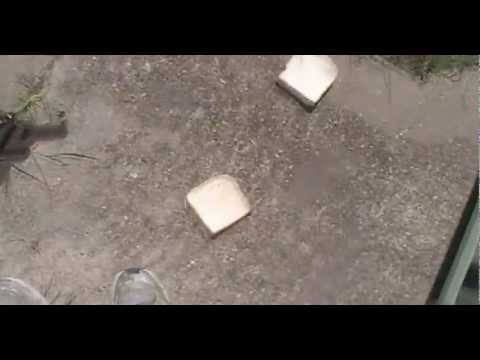 The Walking Bread Teaser Trailer - #1 "Run N' Gun"