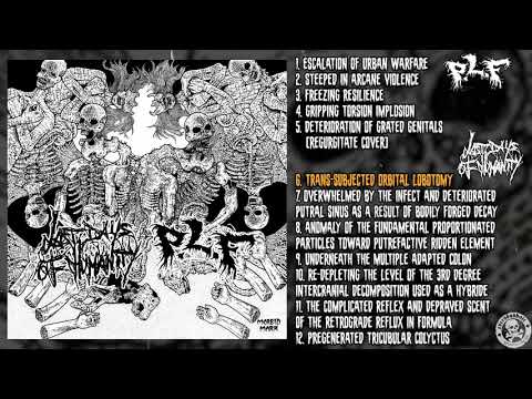 P.L.F. / Last Days of Humanity - split LP FULL ALBUM (2020 - Grindcore / Goregrind)