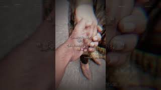 #viral #plies #viralvideo #youtubeshorts #foryou