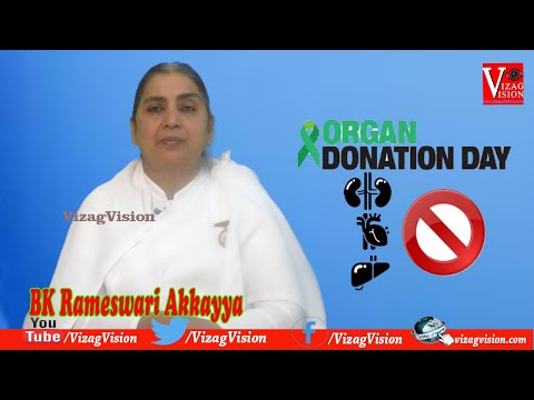 TDP Chandrababu Naidu Briefed about AP Development,Vizagvision