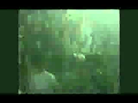 Fiesta Tecno Nina Discotheque by DjPinky