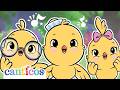 NEW Dum Dum Party Mix Canciones Infantiles Y Bilingual Nursery Rhymes Canticosworld