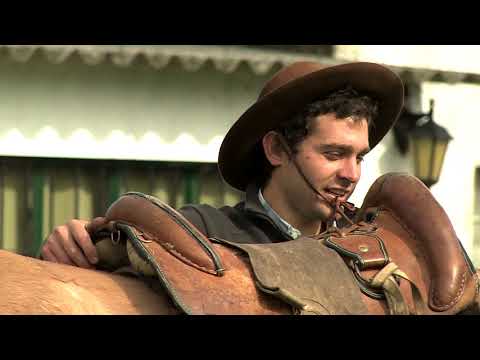 Domador tradicional - Mauricio Benvenuto