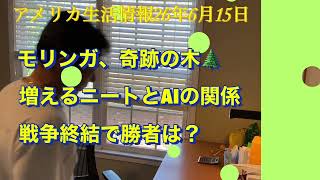 米国生活　モリンガ〜奇跡の木？　イラン戦争合意で勝者は‘どっち？