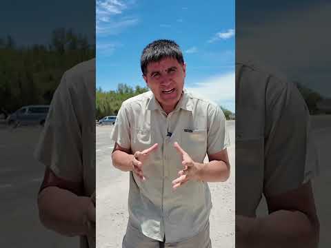 Así operaba el imperio del líder narco militar: terminó detenido