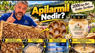 Apilarnil Nedir? Nasıl Elde Edilir? 20 Yıllık Üretim Tecrübem | Özümbal