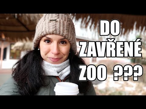 VÍKENDOVÝ VÝLET DO ZIMNÍ ZOO LEŠNÁ, DENNÍ VLOG, KAM NA VÝLET S DĚTMI