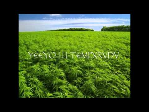 YIYO CABRERIZO // T€MPXRVDV