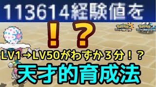 ポケモンｕｓｍ Let S Go ケケンカニ تنزيل الموسيقى Mp3 مجانا
