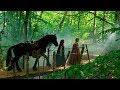Family Fantasy Adventure Films Albion The Enchanted Stallion