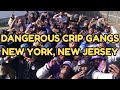 Dangerous Crip Gangs In New York New Jersey The Real Story