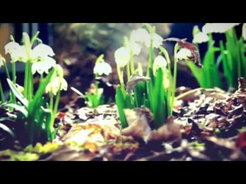 ArLeShItHa’s Video 117577368812 uGSF0YBrOuA