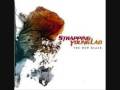 Strapping Young Lad-Anti Product