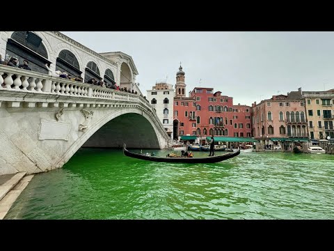 L'acqua del Canal Grande a Venezia diventa verde: il video del blitz di Extinction Rebellion