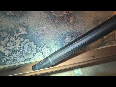 A Lot of Bed Bugs Harboring in Bed Frame in...