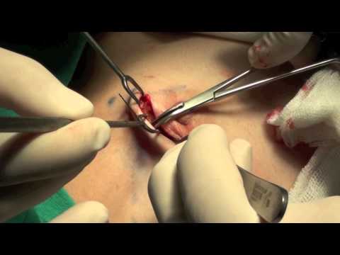 download lagu mp3 mp4 Jwire, download lagu Jwire gratis, unduh video klip Jwire