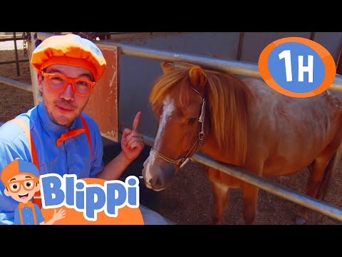 Pony Farm | Fun with Blippi! | Blippi Educational Songs for Kids