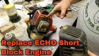 How To Replace A Short Block Engine On An Echo SRM-280 Weed Trimmer - with Jaryl
