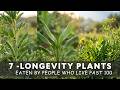 7 Longevity Plants Blue Zone Centenarians Eat Every Day Secrets Of People Who Live Past 100