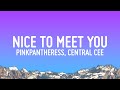 PinkPantheress Nice To Meet You Lyrics Ft Central Cee
