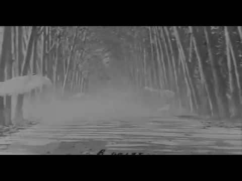 'Влюбленные', Узбекфильм, 1969
