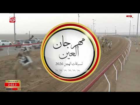 ش 4 (قماري) لـ سلطان محمد سلطان بن شاهين العواني 4:34:16 ، مهرجان العين 2026/07/08 لقايا الروضة