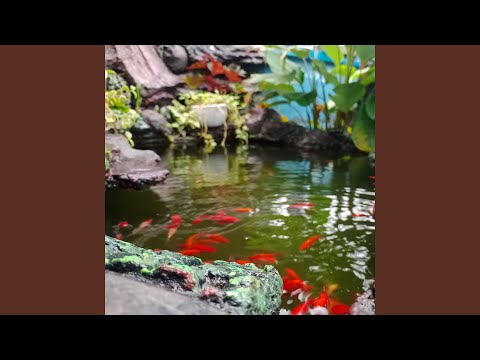 And i will shine like the sun