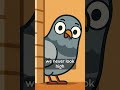 Why Do We Never See Baby Pigeons