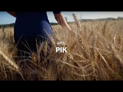 Hitri intervju: ans. PIK - 51. FESTIVAL NARODNO-ZABAVNE GLASBE ŠTEVERJAN 2023